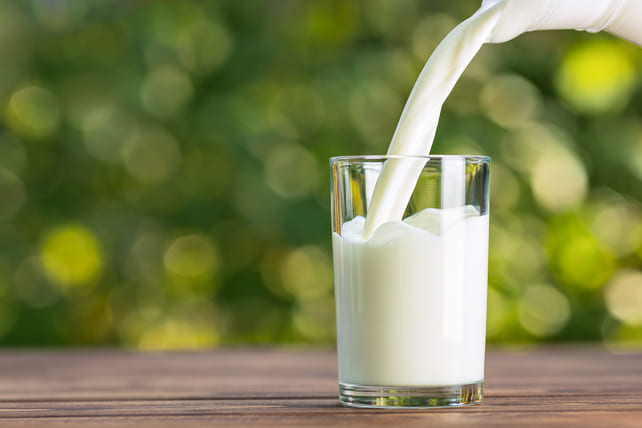 Componentes bioactivos de la leche: Qué son y funciones